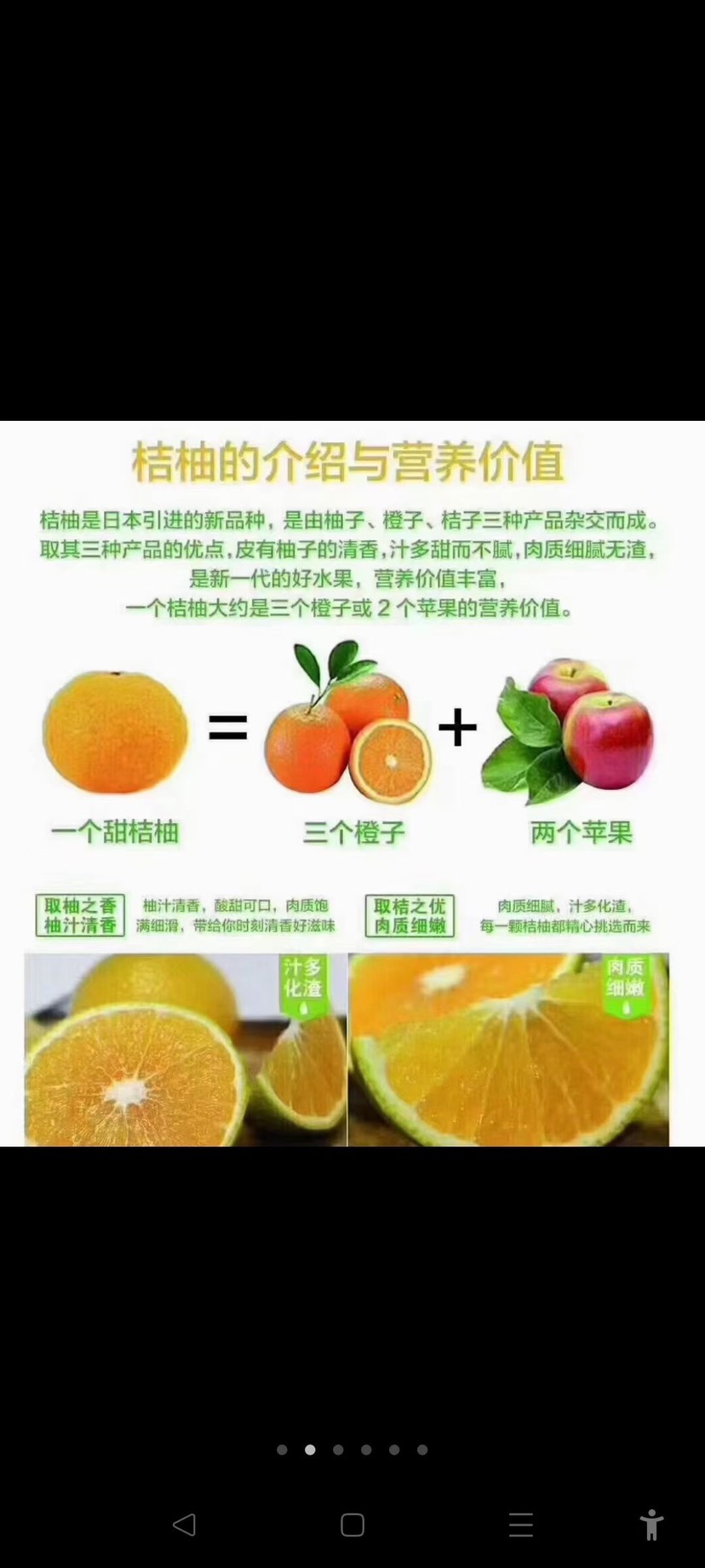 建阳桔柚
