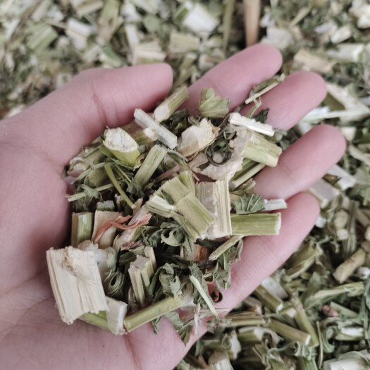 玉林批发益母草