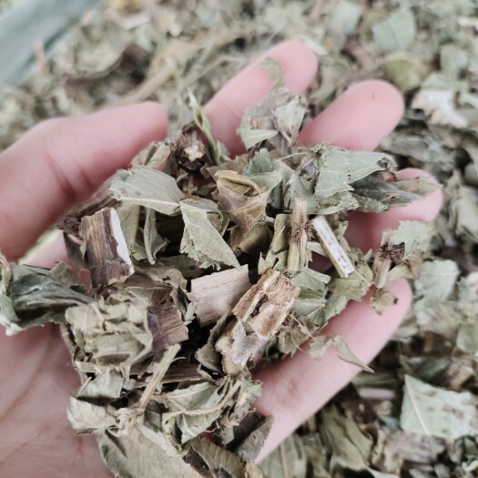 玉林批发泽兰