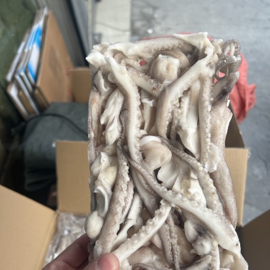 荥阳市冷冻 小板鱿鱼须 适合商超 酒店 批发市场、、、、、