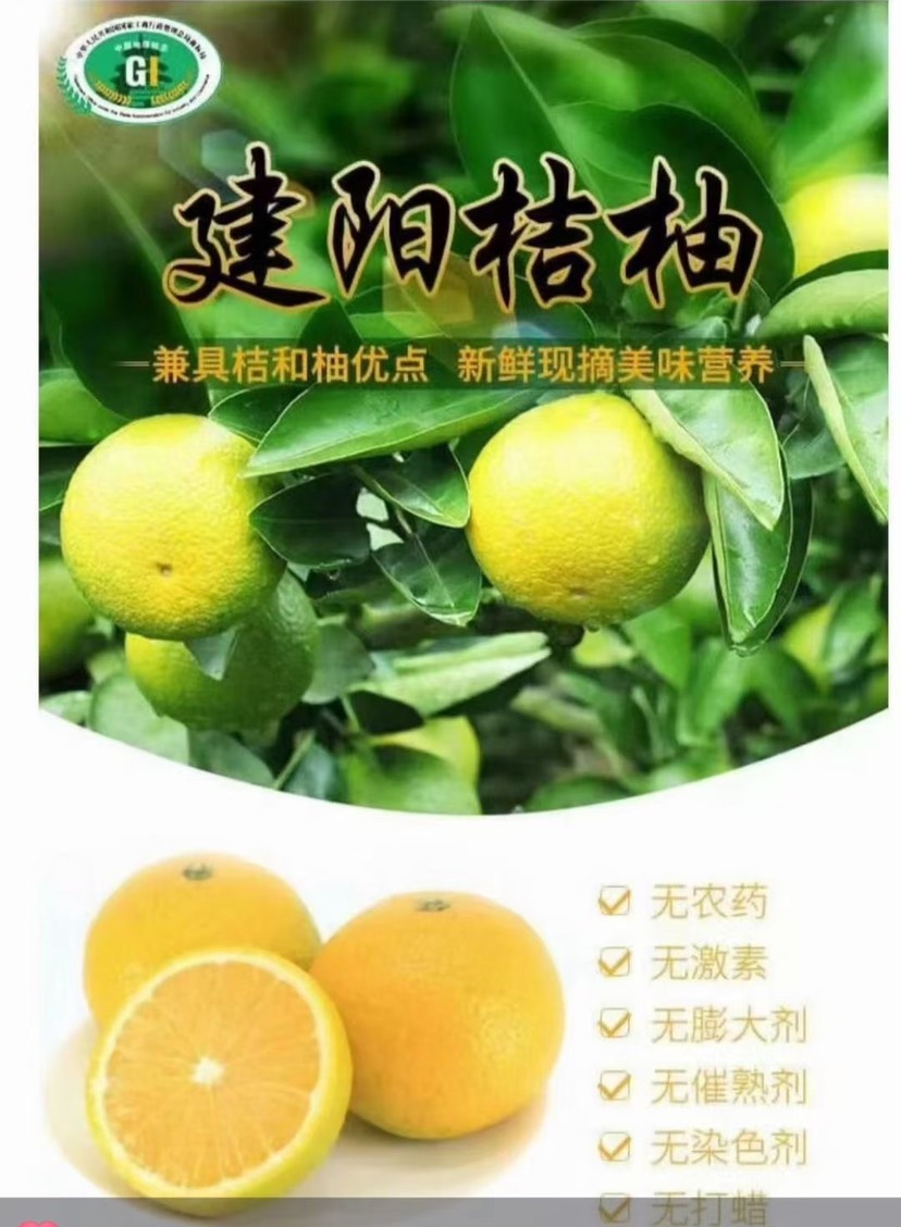 建阳桔柚