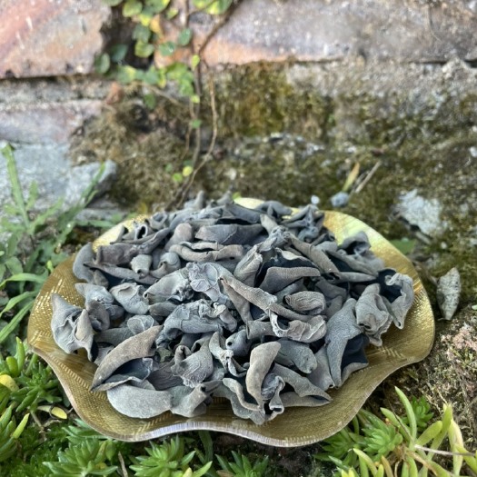 仙游县自产自销头茬东北木耳