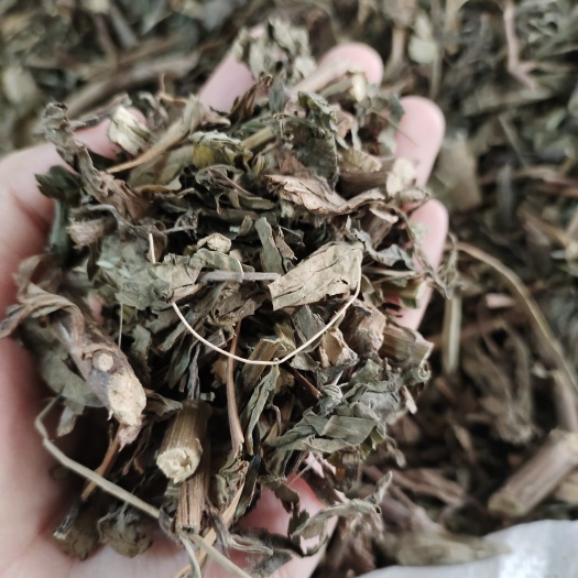 玉林批发豨签草