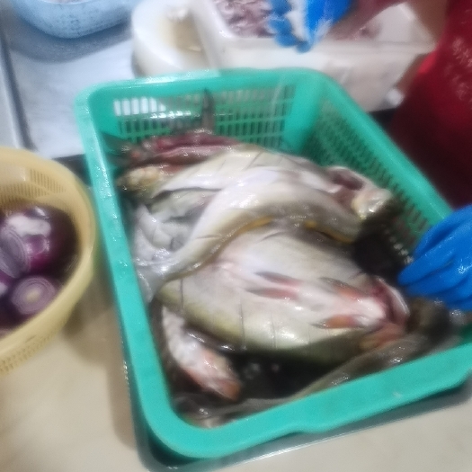 潜江市草鱼