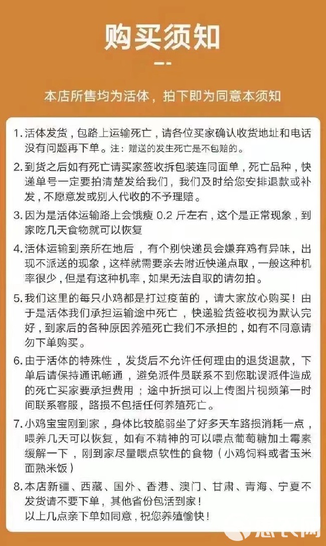 包邮 瓦灰鸡活苗绿壳蛋鸡苗活体瓦灰鸡苗一斤活鸡因