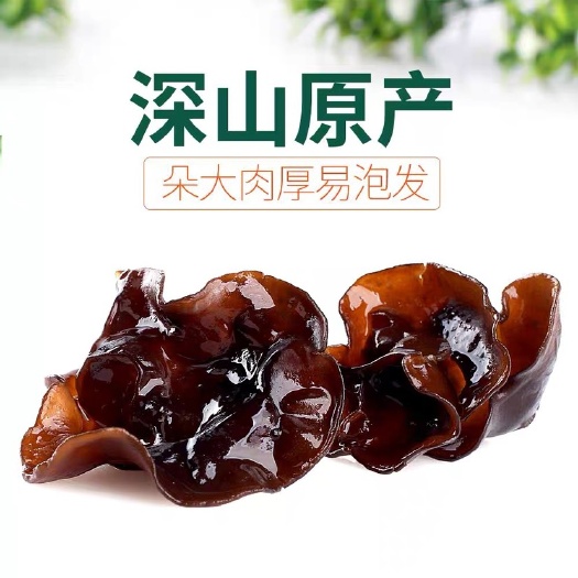 卢氏木耳