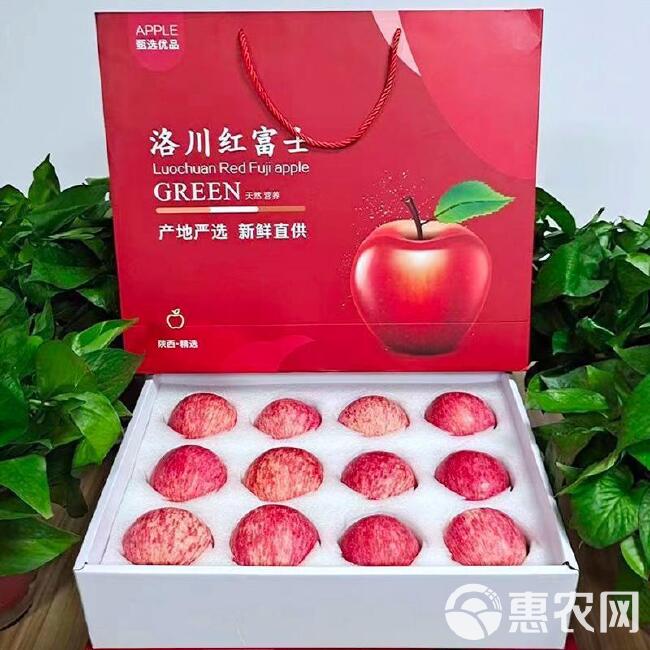 陕西洛红富士苹果脆甜口感现摘现发一件代发，大宗批发供货。