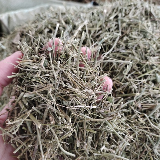 玉林批发切段鸡骨草
