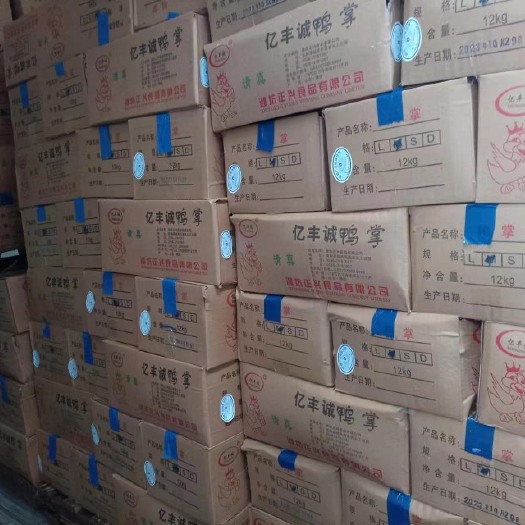 长沙鸭掌