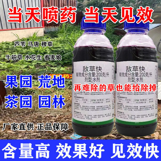 郑州正品敌草快除草剂斩草除根杂草强效一扫光连根果园草铵膦药高浓度