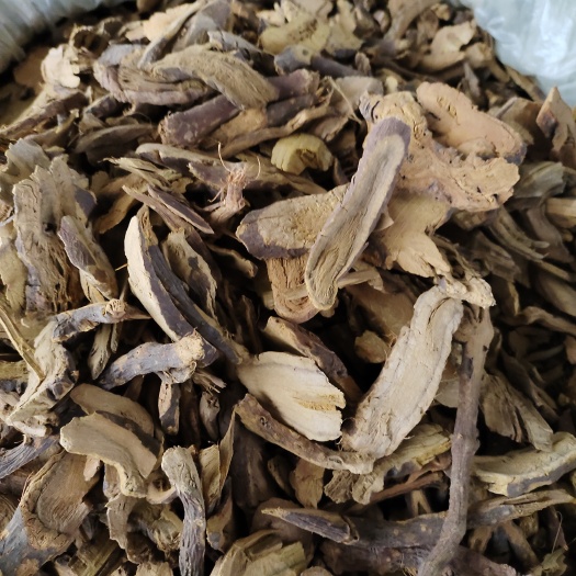 玉林批发虎杖