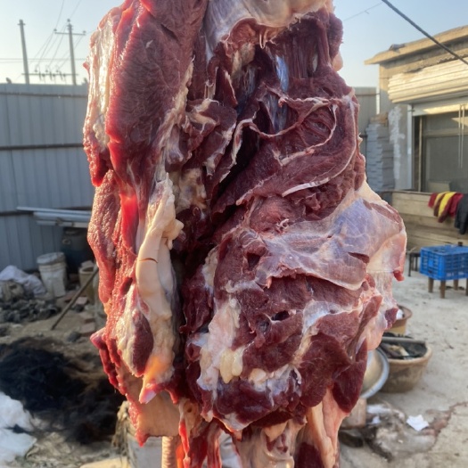 石家庄鲜驴肉 新鲜现宰带皮驴肉 现货供应