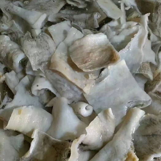 福州鲨鱼皮 水大片