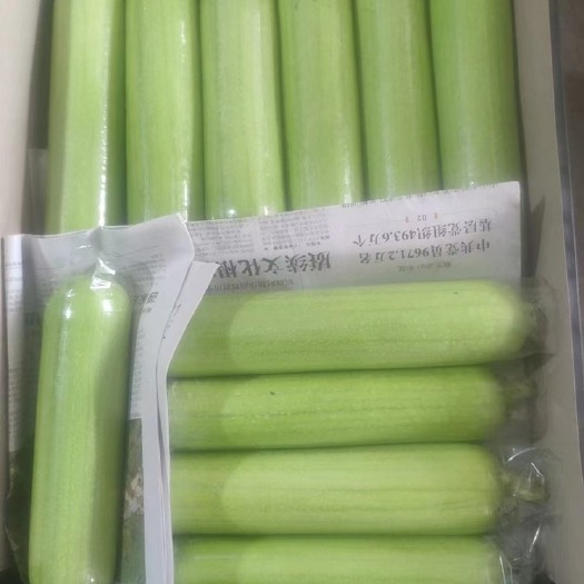 平和县福建刚上市白玉丝瓜