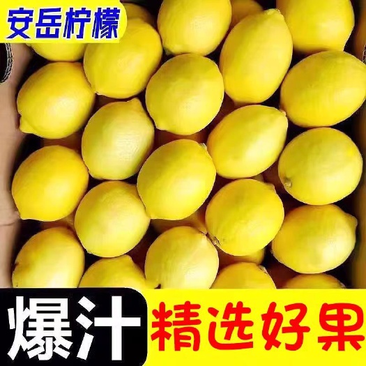 安岳黄柠檬新鲜柠檬批发价奶茶店非无籽薄皮酸柠檬新鲜水果