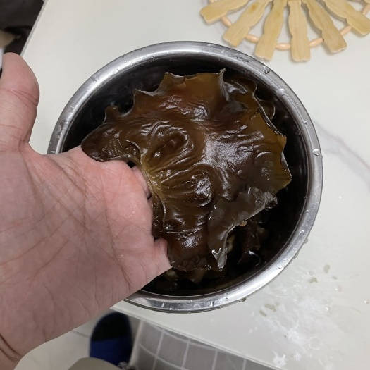 卢氏木耳