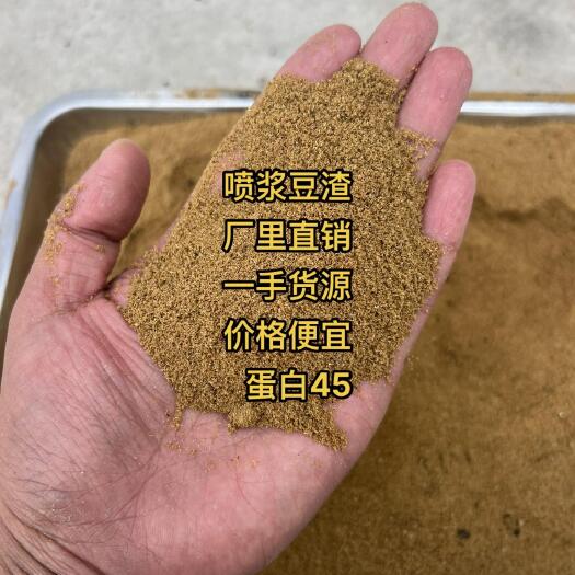 菏泽喷浆豆渣， 蛋白45，水分12，灰分9适合各种养殖水产养殖