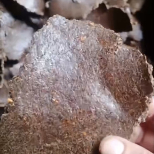 郑州核桃饼