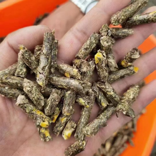 菏泽花生秧加玉米熟化颗粒饲料，除尘除膜 高温杀菌，易吸收易储存。