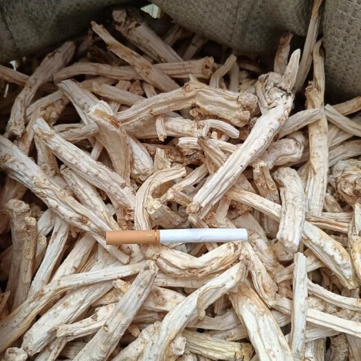 商洛商洛高含量垂干大选桔梗，专业加工桔梗，一手货源