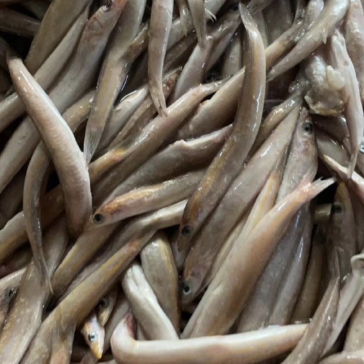 海泥鳅 油炸品