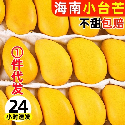 东莞市小台芒新鲜台农树上熟芒果整箱现发热带应季水果