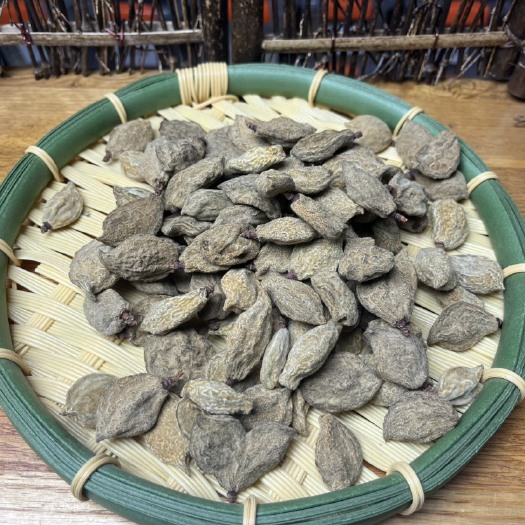 亳州瘪桃干中药材