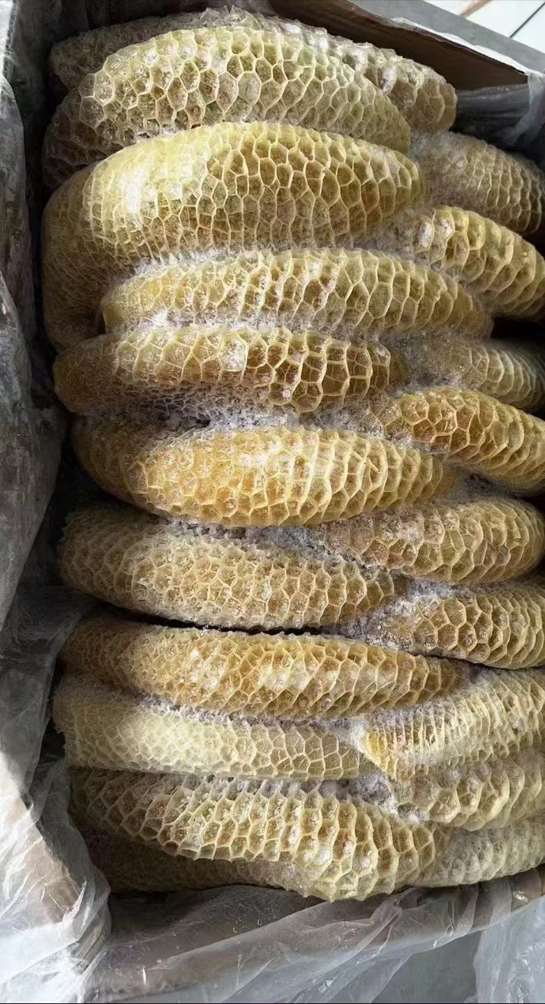 国产牛肚.金钱肚.全熟牛肚.开箱实拍.全国发货