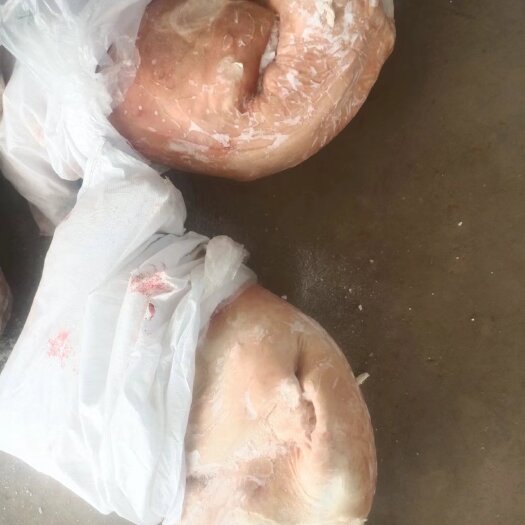 卓资县带皮卧冻羊酮体，全部为近2个月生产 ，标准羊