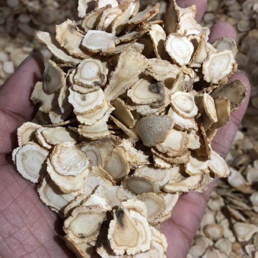足四年软枝参，西洋参B片，有黑边黑点，碎片，异形片