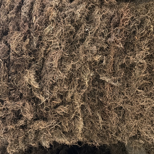 万寿竹 小白龙须 炕干货