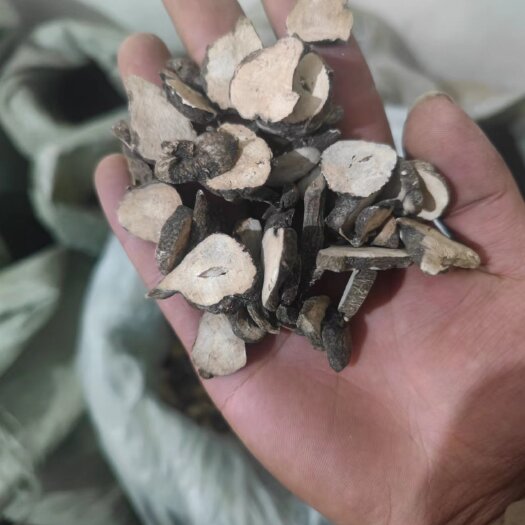 鄄城县附 片 生片 炮片 制片 各种规格 欢迎下单