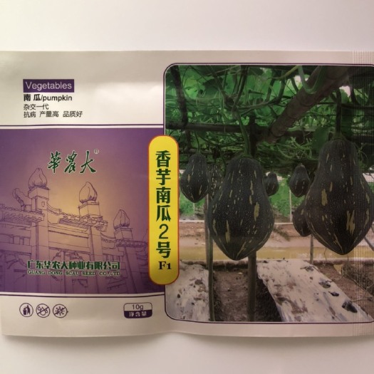 平远县华农大香芋2号杂交香芋南瓜种子 香味浓 抗病 瓜形好 结瓜多