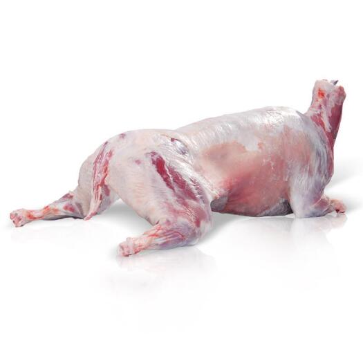 鸡泽县狗肉香肉肉狗白条整只半只5斤腿肚肉排骨均可