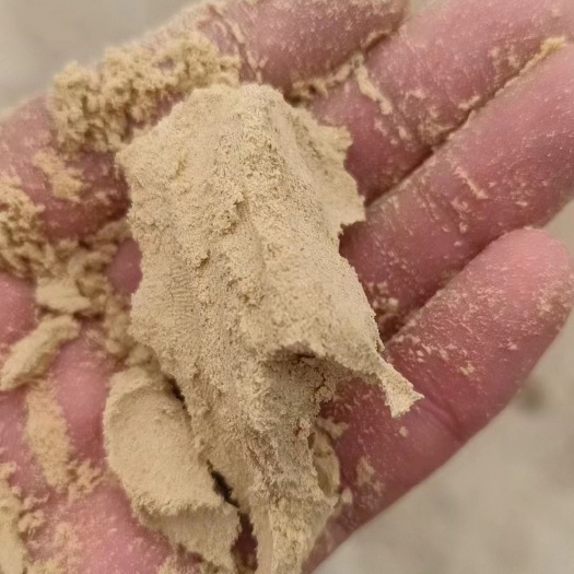 正定县小米油糠