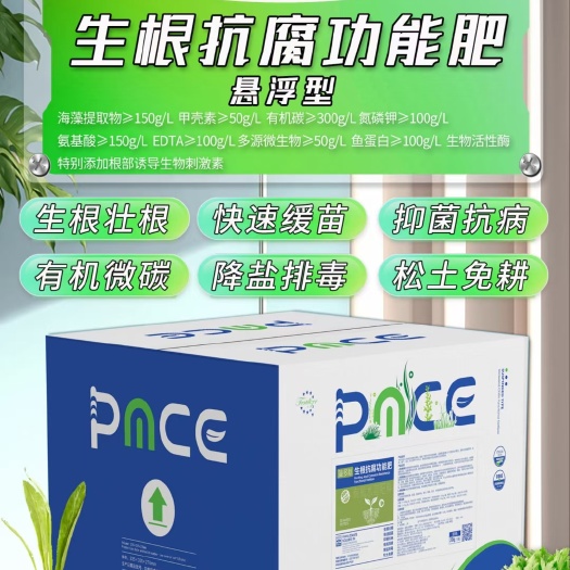青岛【白根可持续28天❗--藻多肽 】多肽和海藻复合，冷榨萃取