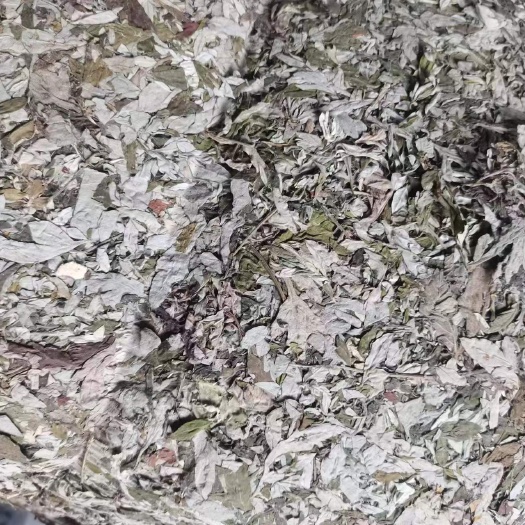 开阳县艾叶