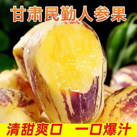 民勤县民勤沙漠人生果批发