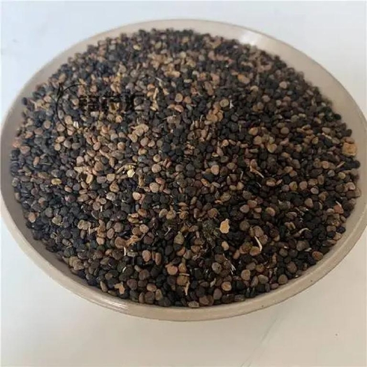 临县曼陀罗子
