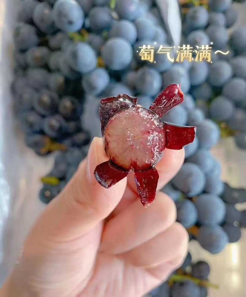 云南产品蓝莓￼葡萄￼ 5挂6挂7挂￼规格