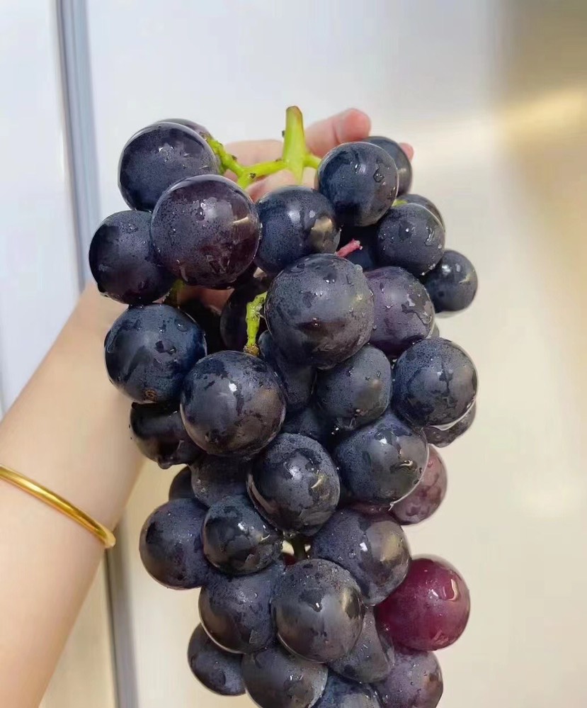 云南产品蓝莓￼葡萄￼ 5挂6挂7挂￼规格
