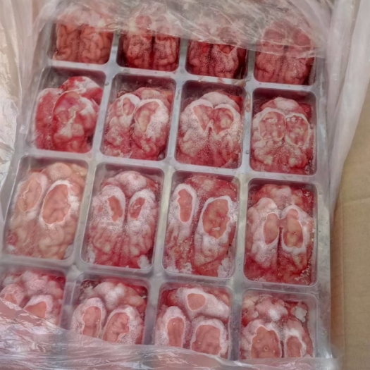 郑州精品猪脑花 一件 96个 20斤