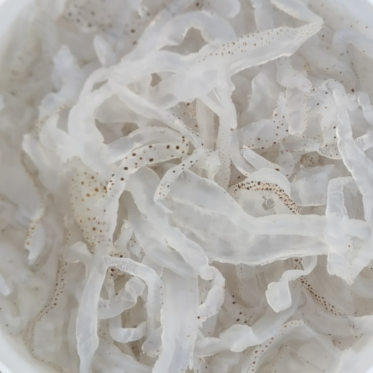 滨州花点丝