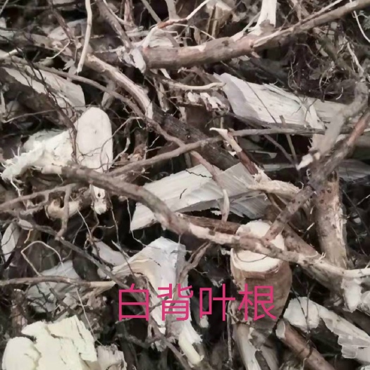 上林县新鲜白背叶鲜根6.5元，100斤起。切片哂干9元，均包邮。