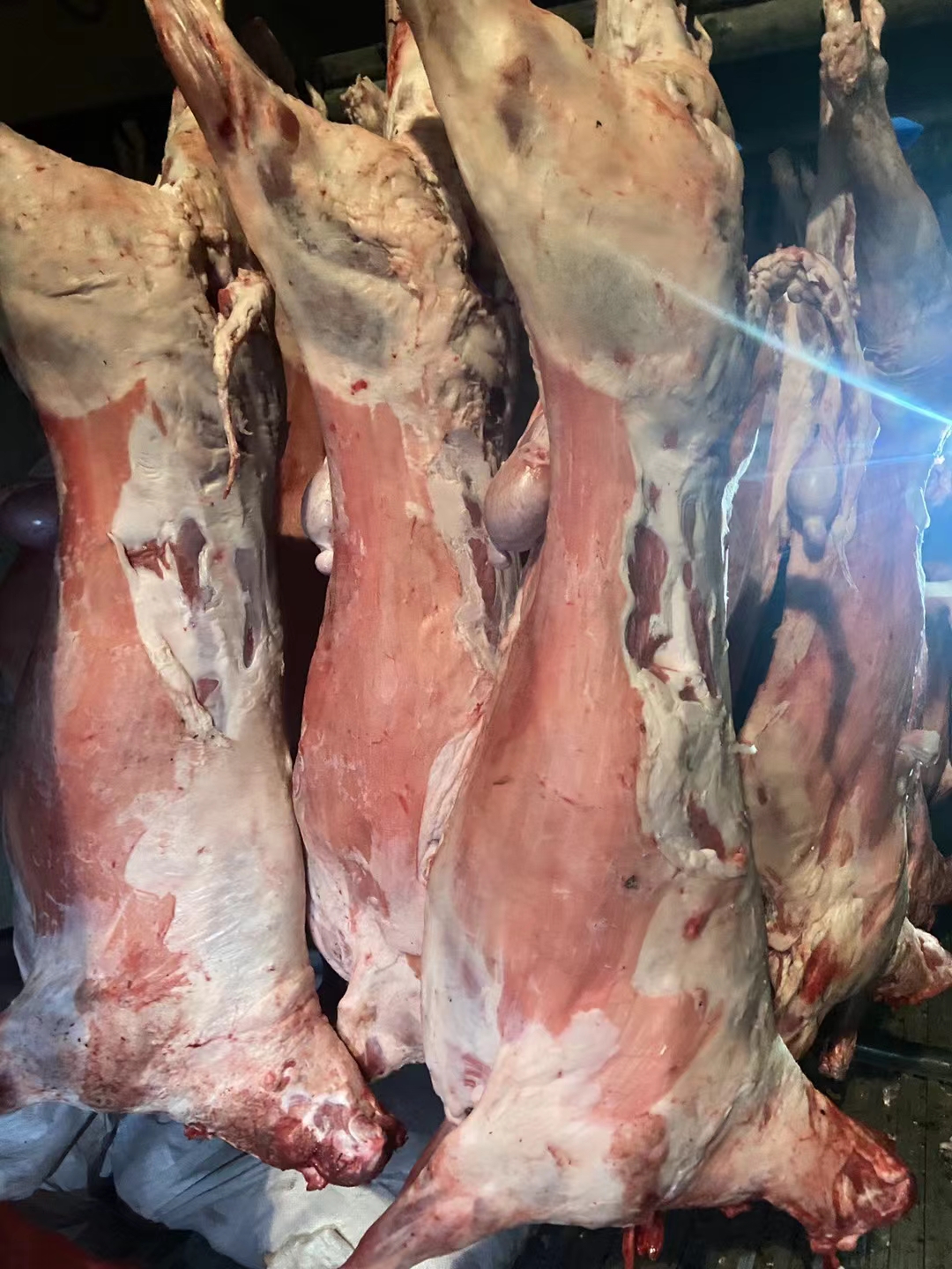 内蒙鲜冻羊酮体去皮，白条羊，羊腔子，烤全羊规格齐全纯干货