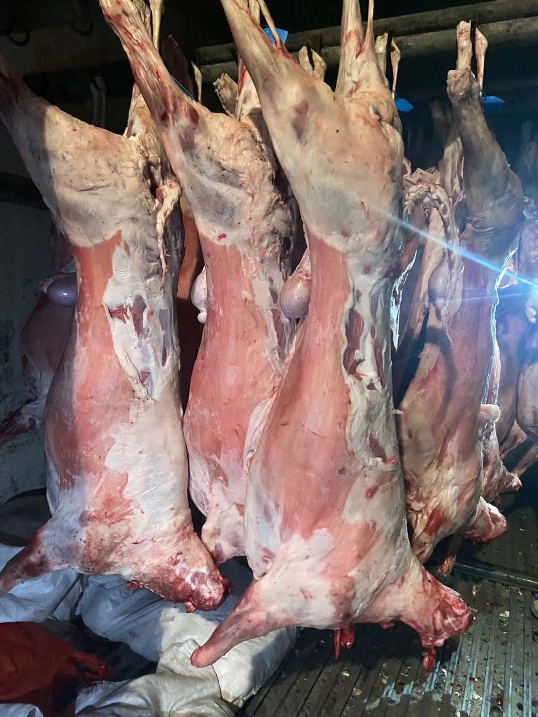 内蒙鲜冻羊酮体去皮，白条羊，羊腔子，烤全羊规格齐全纯干货