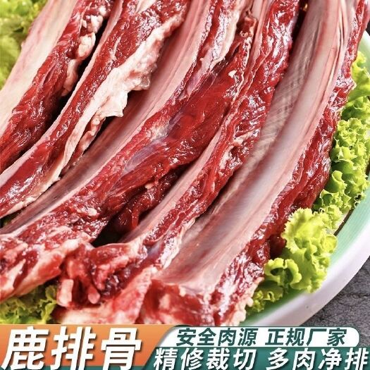新鲜梅花鹿肉排骨整切生骨肉生鲜烧烤烤鹿子肉食材特产鹿排骨