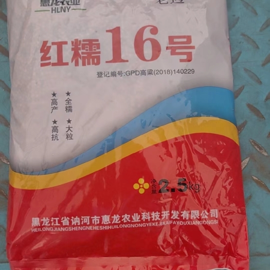 赤峰红糯16