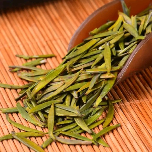 珙县四川鹿鸣茶