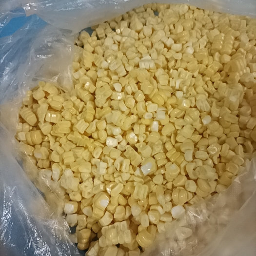广州新鲜玉米粒，玉米子，玉米仔